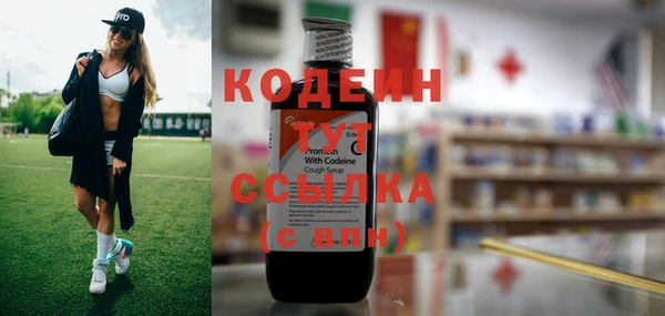 метадон Осташков