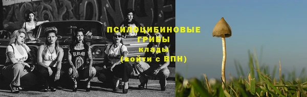 МДПВ Остров