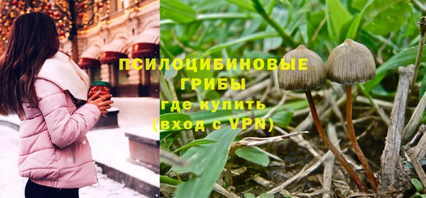 метадон Осташков