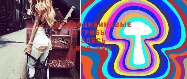 МДПВ Остров