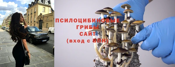 круглые Осинники