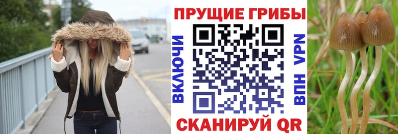 Псилоцибиновые грибы ЛСД  Шахунья 